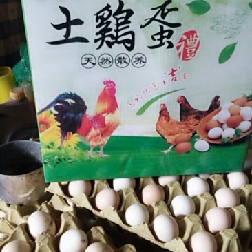 倡导绿色食品，纯粮食喂的鸡，长期食用有益健康，