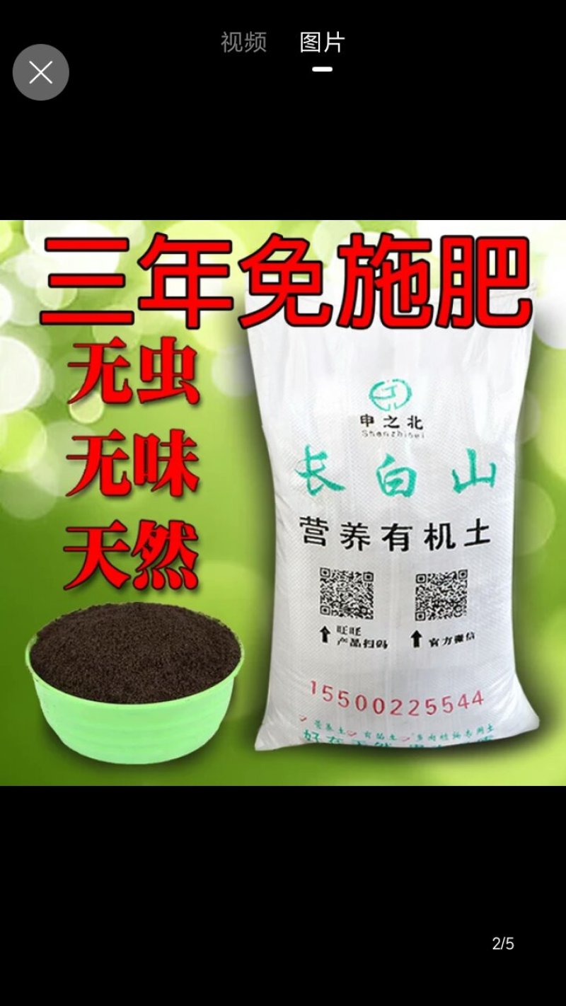 长白山土