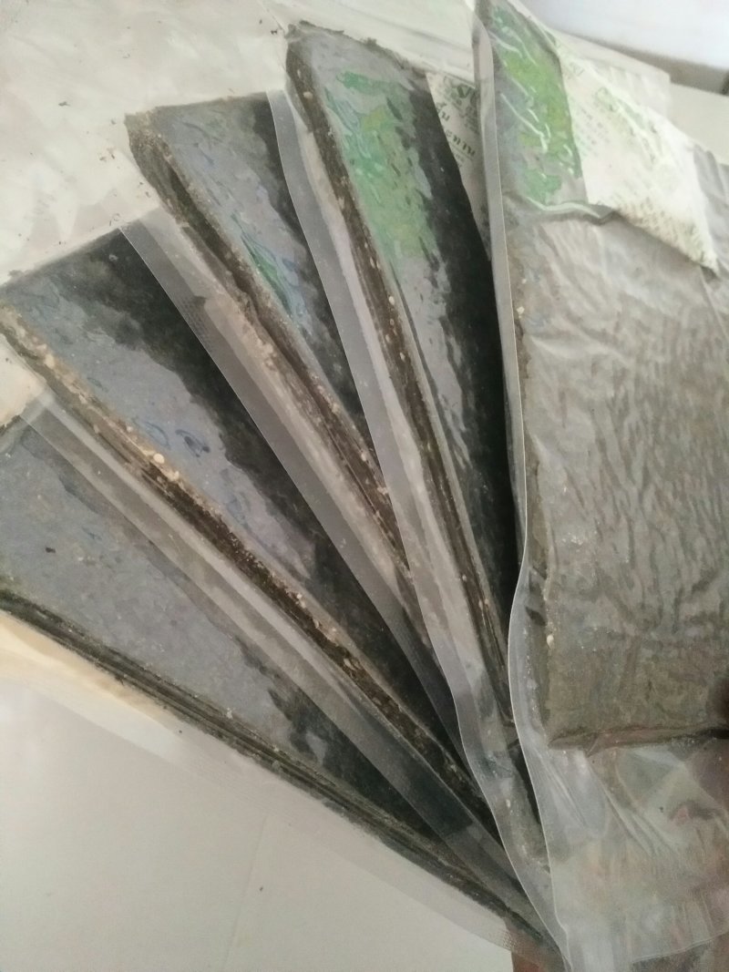 长期供应大片海苔，125克（5片装）爽脆可口，儿童休闲海