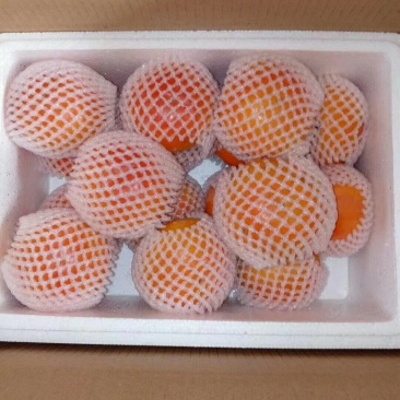 甜柿脆柿直接削皮吃收到既可吃