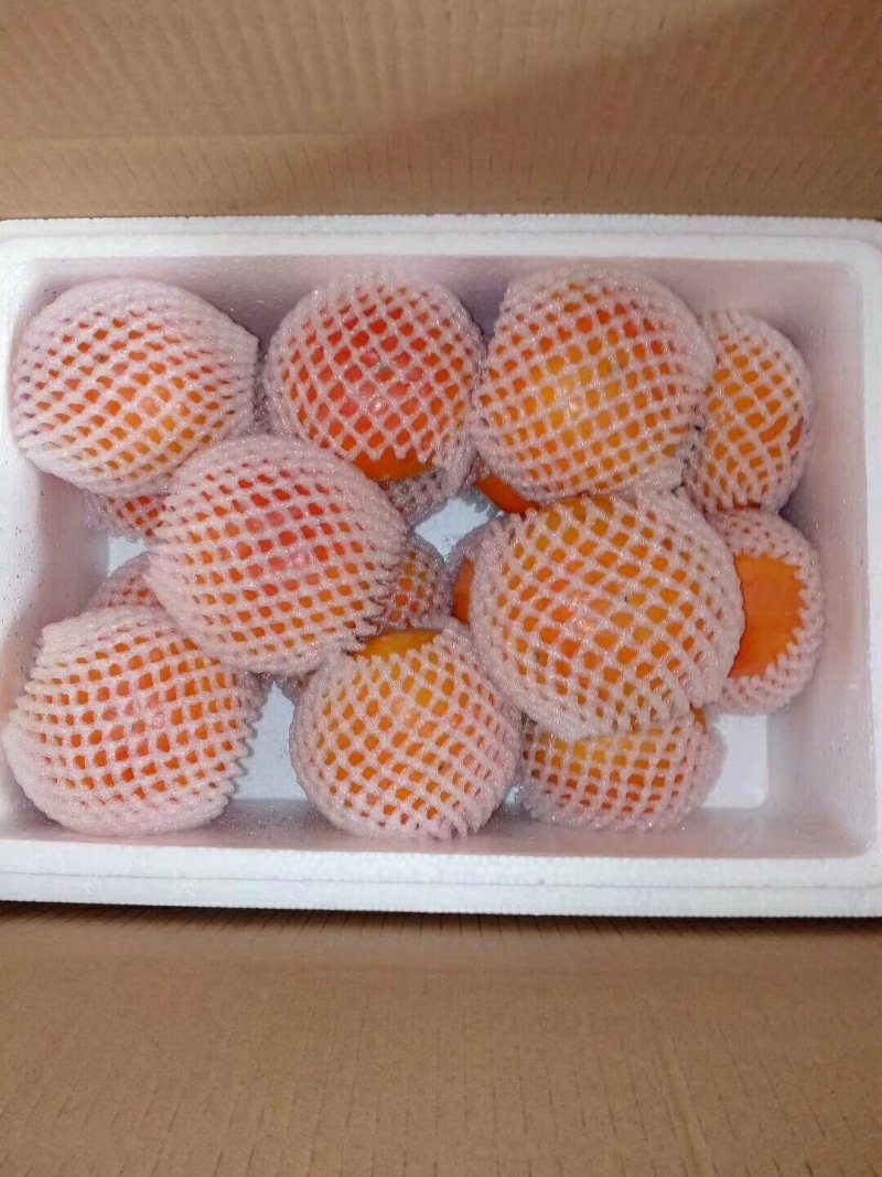 甜柿脆柿直接削皮吃收到既可吃