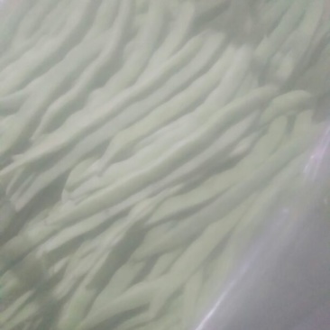 架豆王豆角15厘米以上