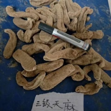 无流天麻，全干货，等级都有