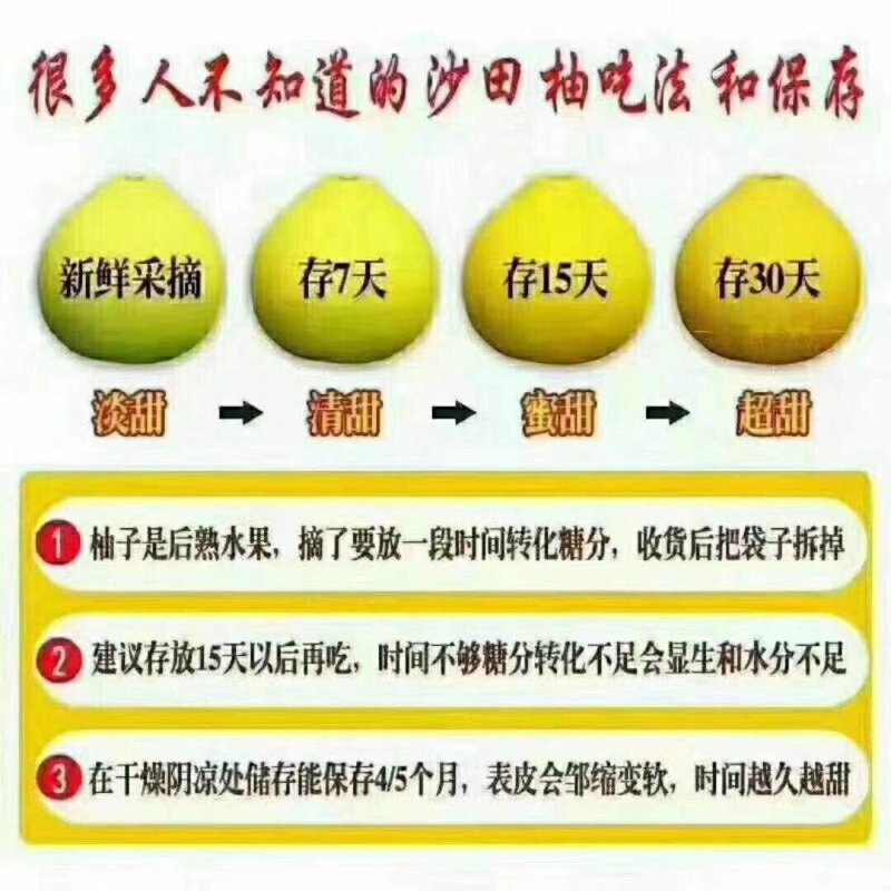 沙田柚