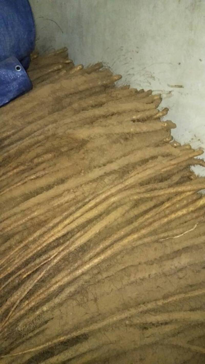 【陕西山药】渭南铁棍山药品质好价格优欢迎选购