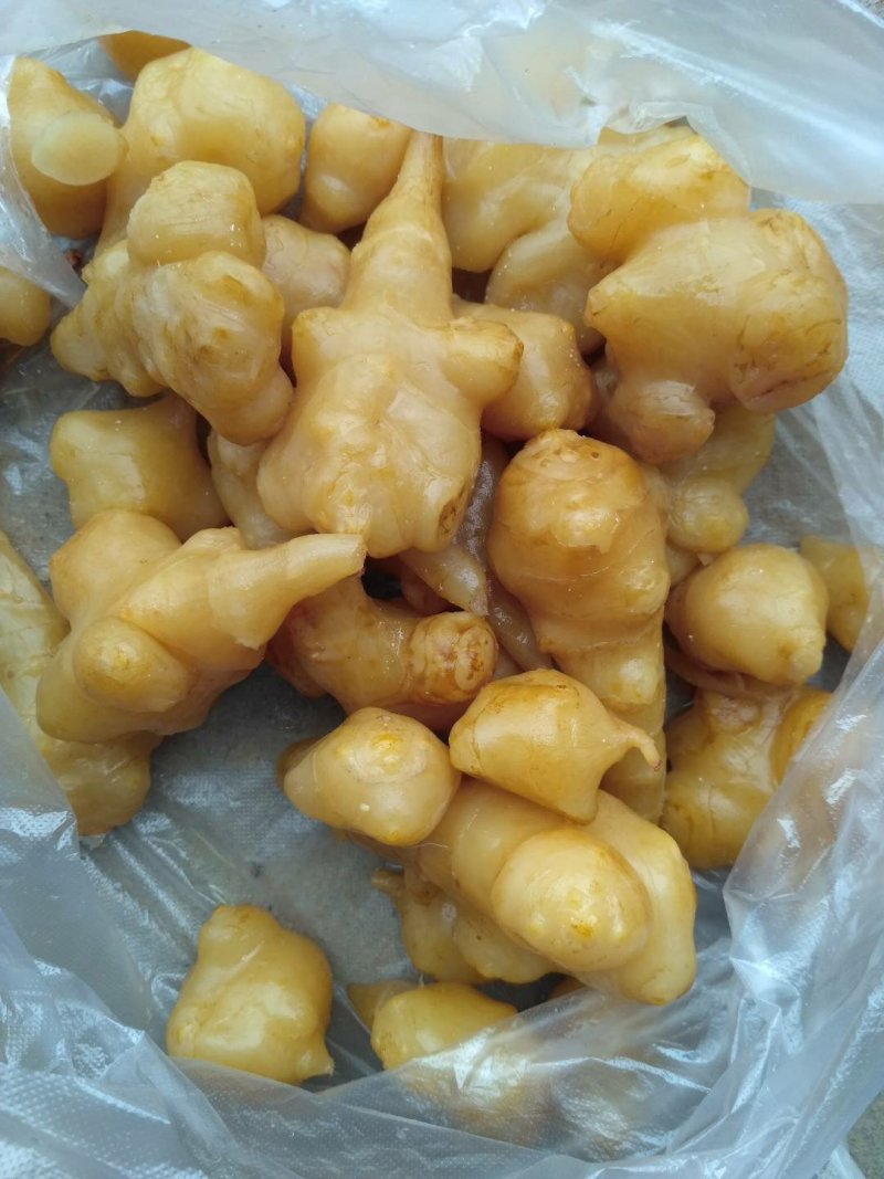 辣椒大蒜洋姜