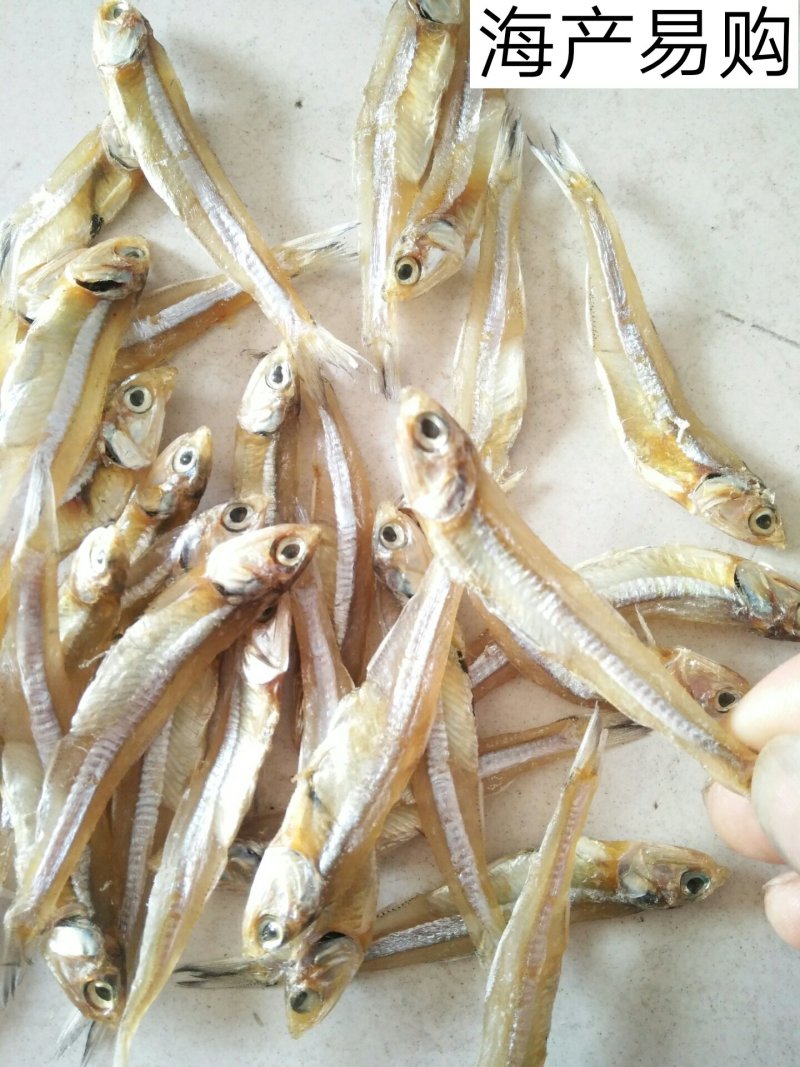 公干鱼大批发天然美味，可以油炸，
