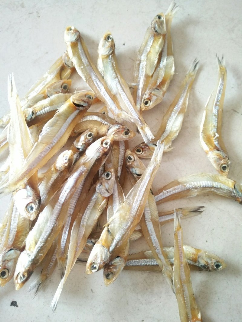 公干鱼大批发天然美味，可以油炸，