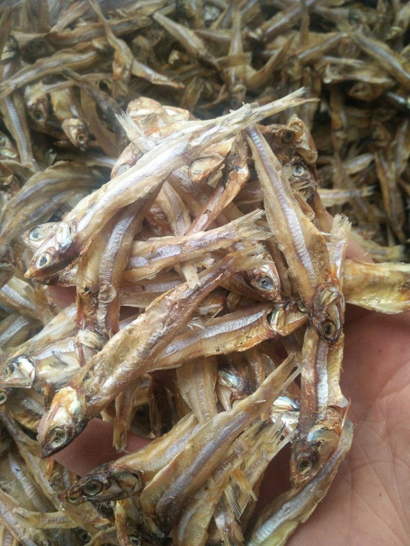 公干鱼大批发天然美味，可以油炸，