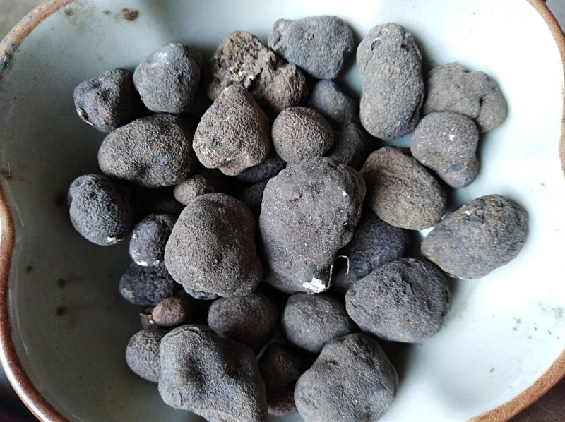 雷丸雷实竹苓竹铃芝货好量大代抓各种药方