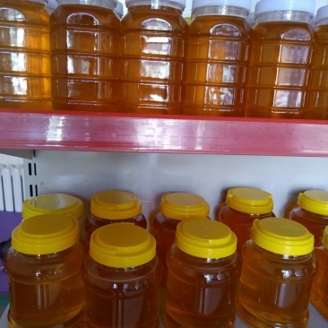 新疆伊犁高加索黑蜂蜂蜜