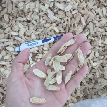黄芪中片无硫