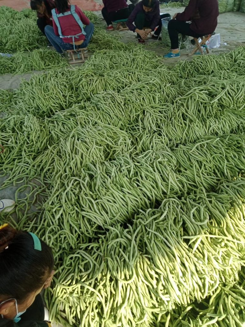 大量上市