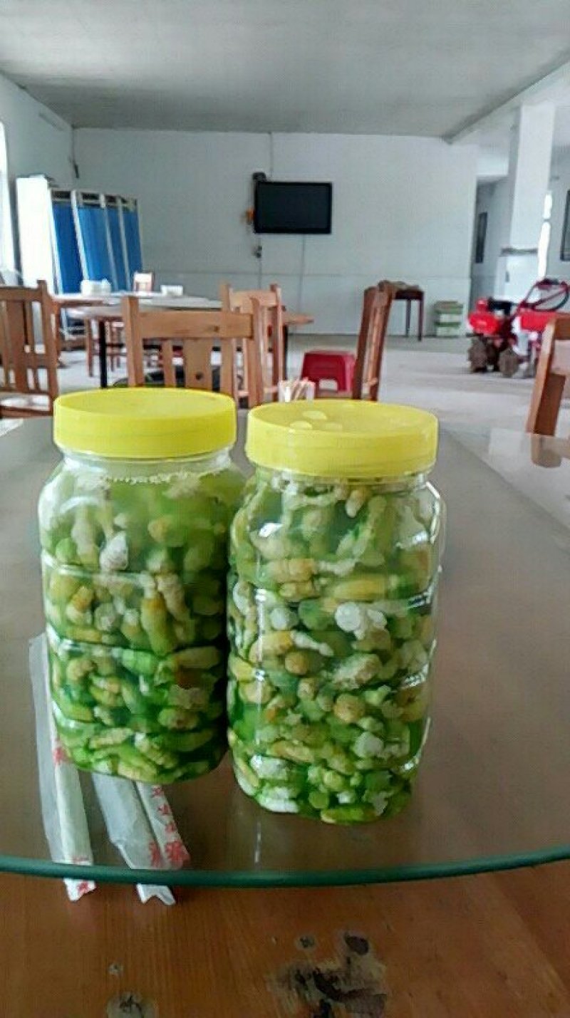豆丹