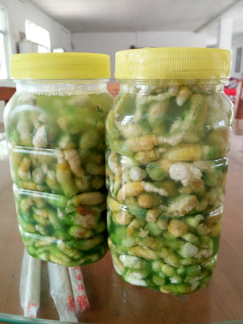 豆丹