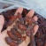 松虎蛹，单体熟冻，肉质饱满，口感好，散装可分装