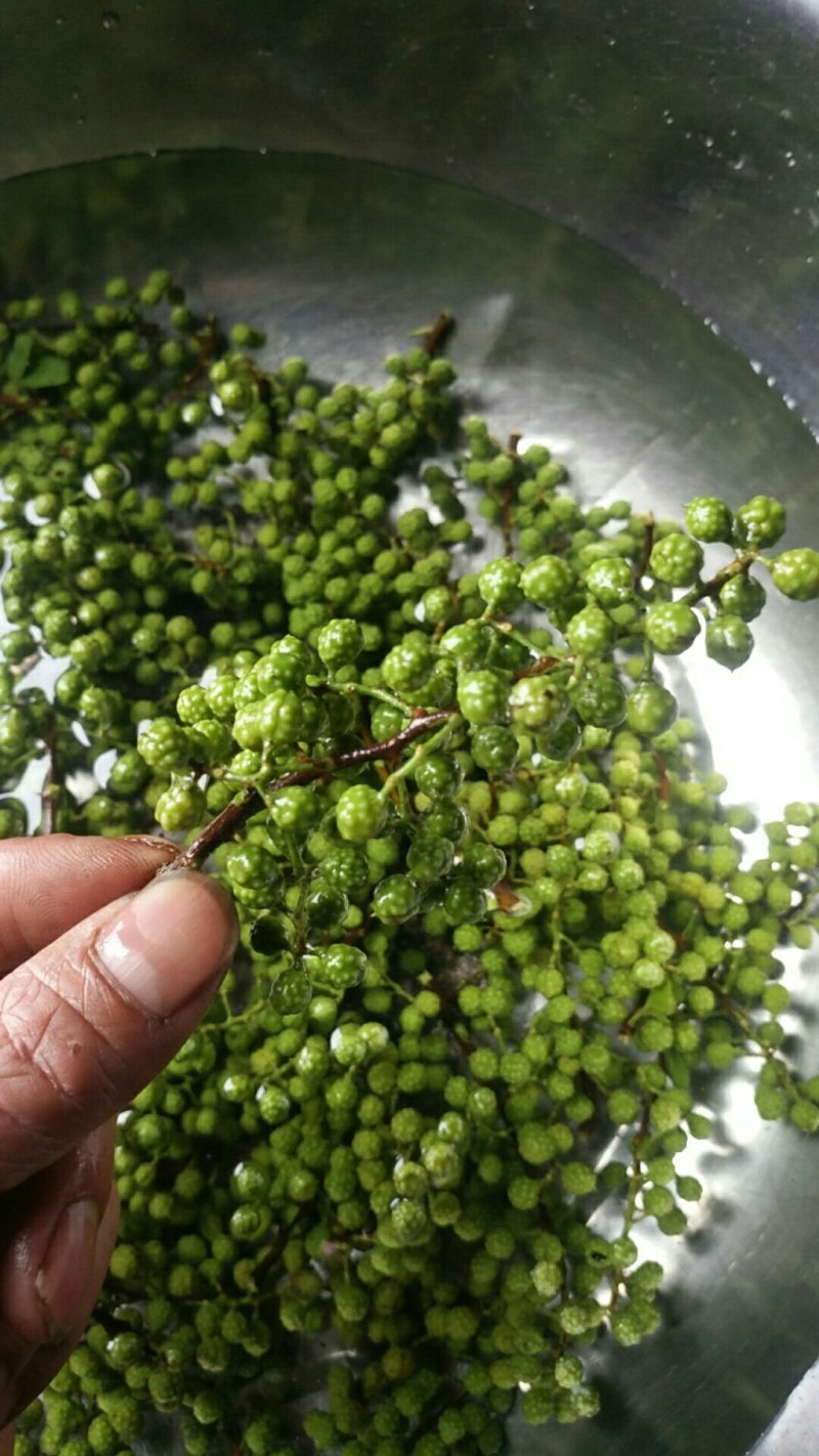 新花椒云南保鲜花椒350克精包装价位便宜火锅专用