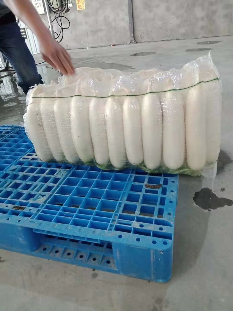 萝卜白萝卜自产自销价格美丽服务周到欢迎实地考察