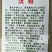 沃柑苗、沃柑苗、沃柑，四川沃柑苗，可开检疫证书