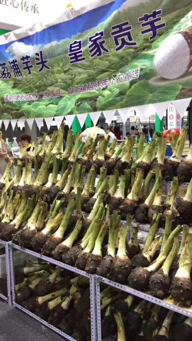 芋头，香芋，荔浦芋头