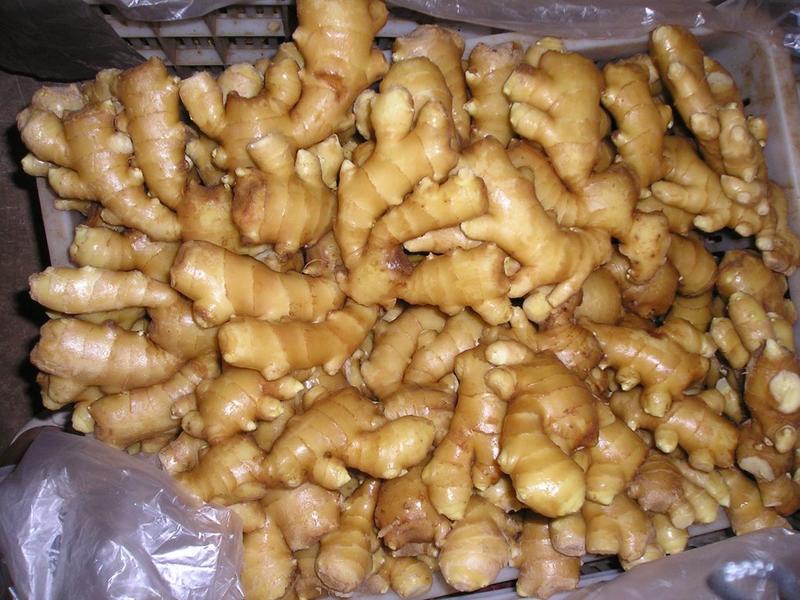 大黄姜产地直销一手货源，品质上成常年对外供应