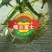 包装