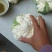 自种花菜