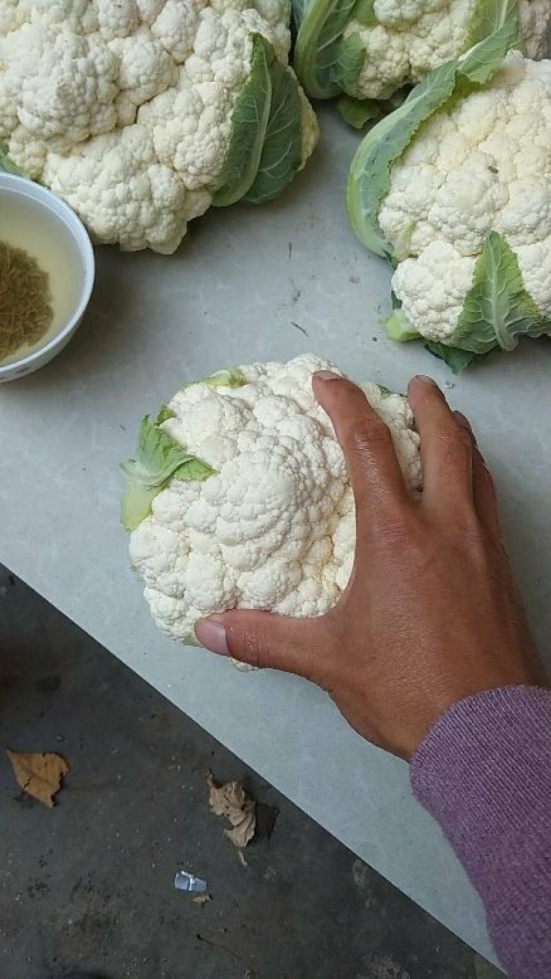 自种花菜
