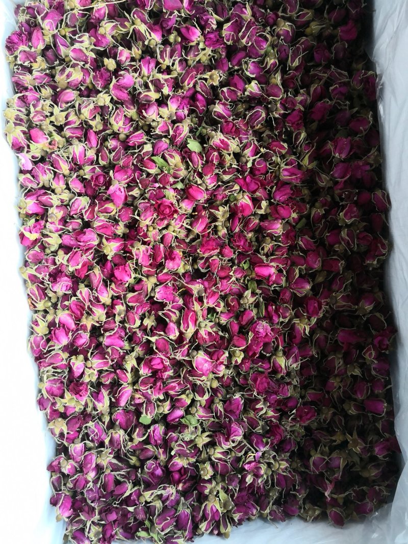 杭白菊太阳菊