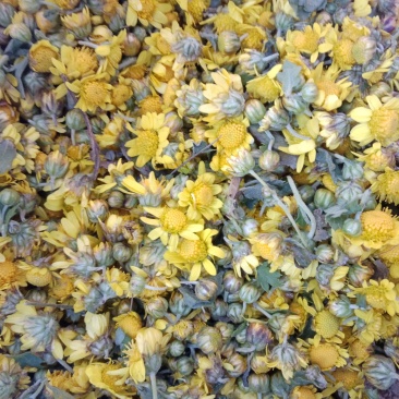 野菊花鲜货