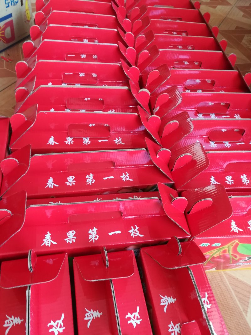 布鲁克斯樱桃（保证纯正品种）