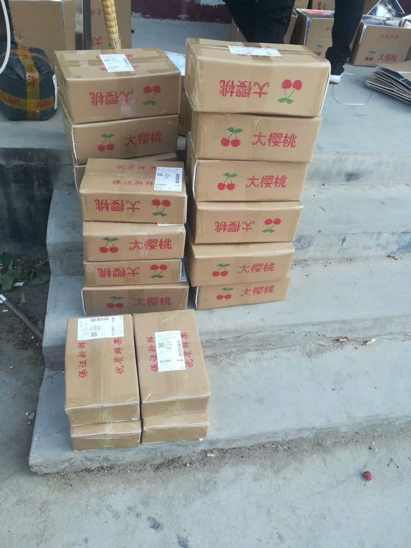 布鲁克斯樱桃（保证纯正品种）