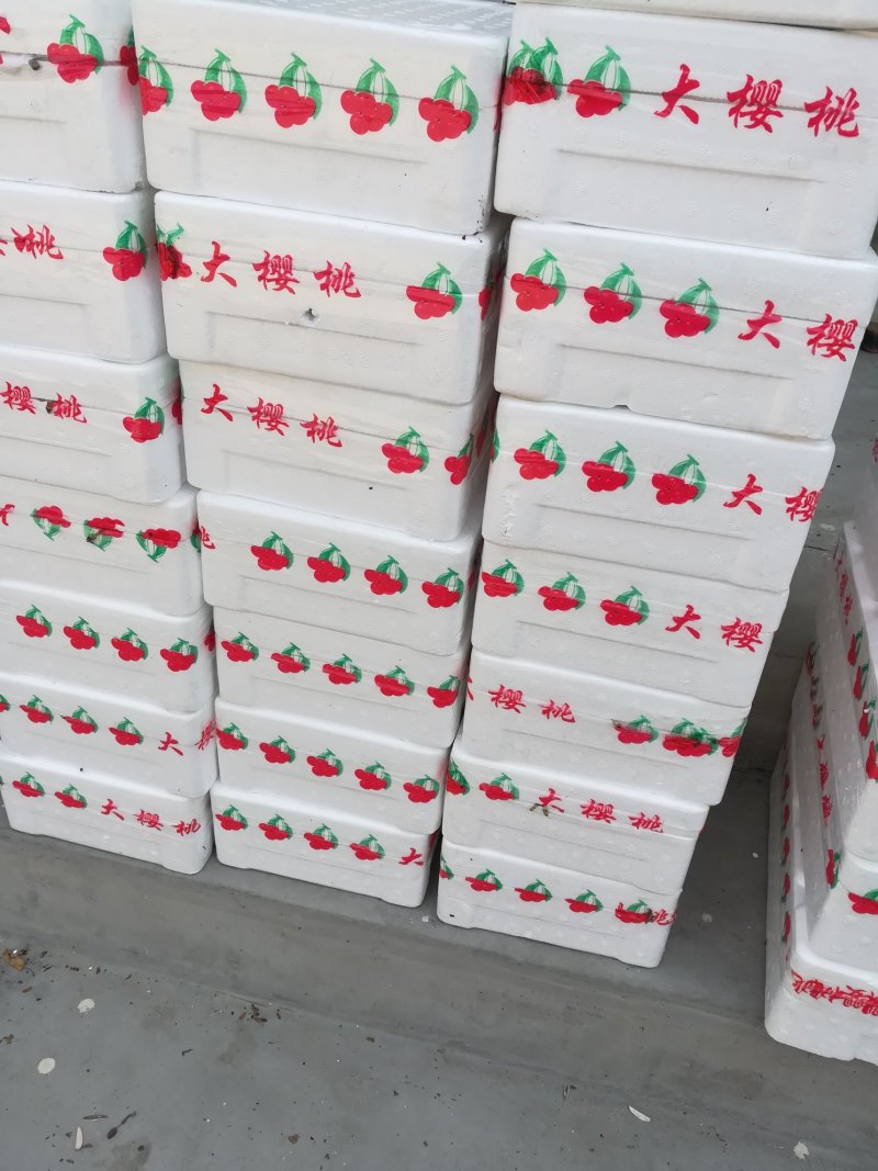 布鲁克斯樱桃（保证纯正品种）