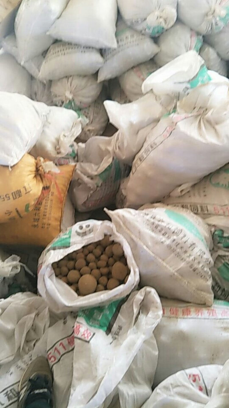 罗汉参精品