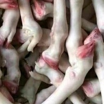 羊蹄
