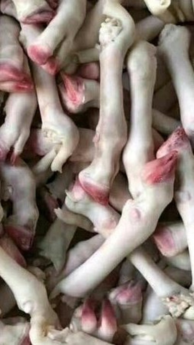 羊蹄