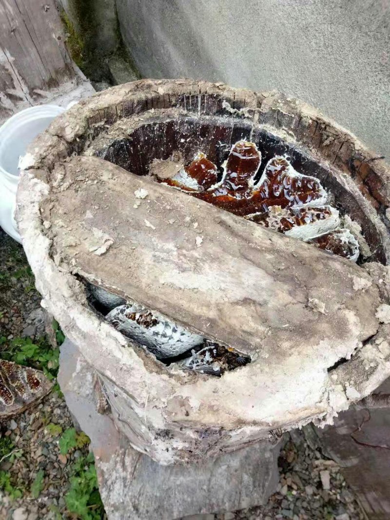 高山蜂蜜正宗中蜂糖热卖中，货真价实，假一赔十，量大优惠哟