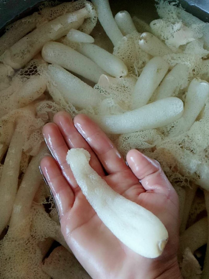 纯天然竹荪