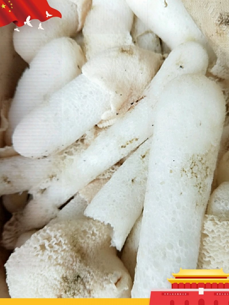 纯天然竹荪