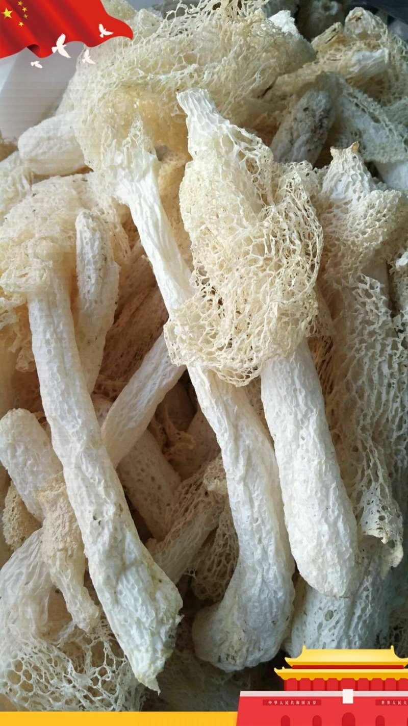 纯天然竹荪