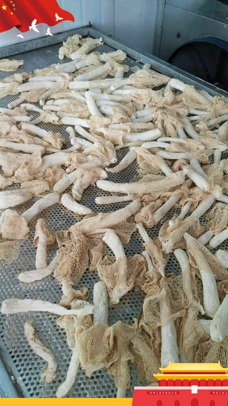 纯天然竹荪