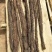 内蒙野生肉苁蓉