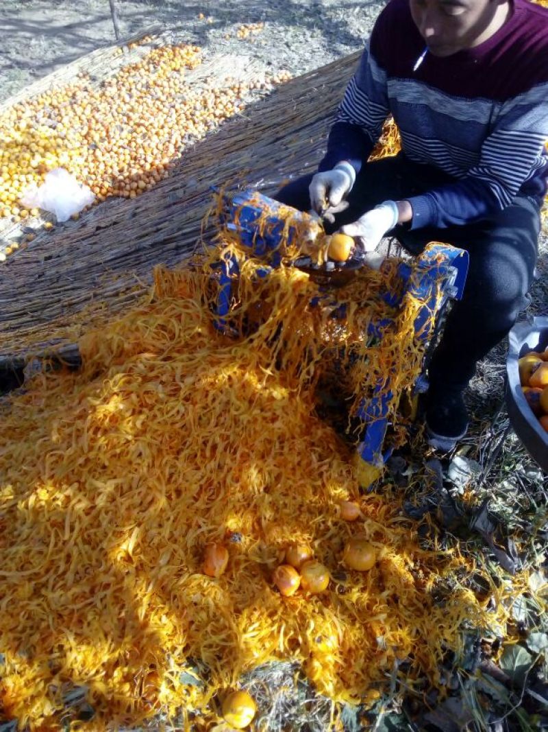 山东柿饼
