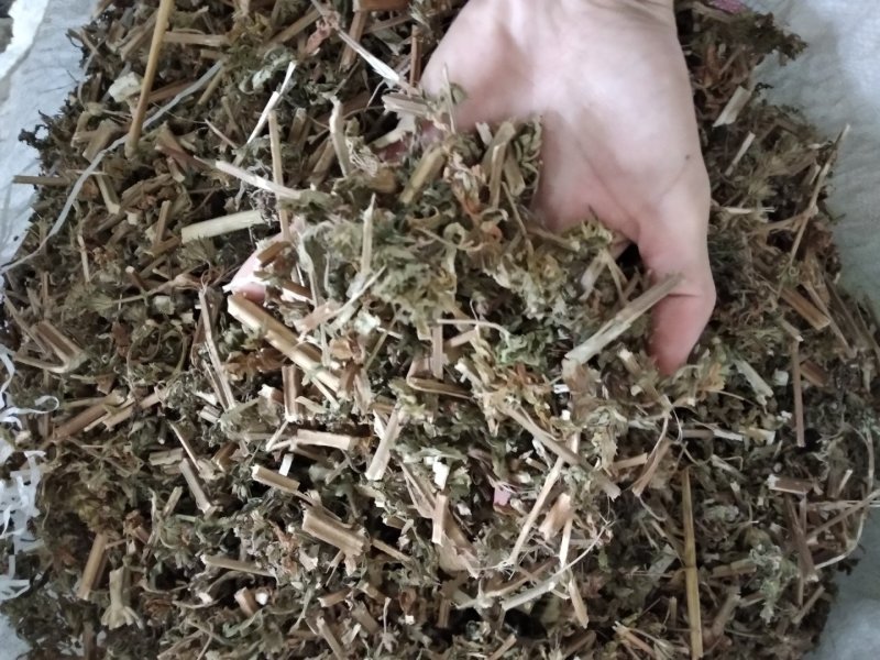 益母草野生各种规格中药用，益母草无硫磺熏
