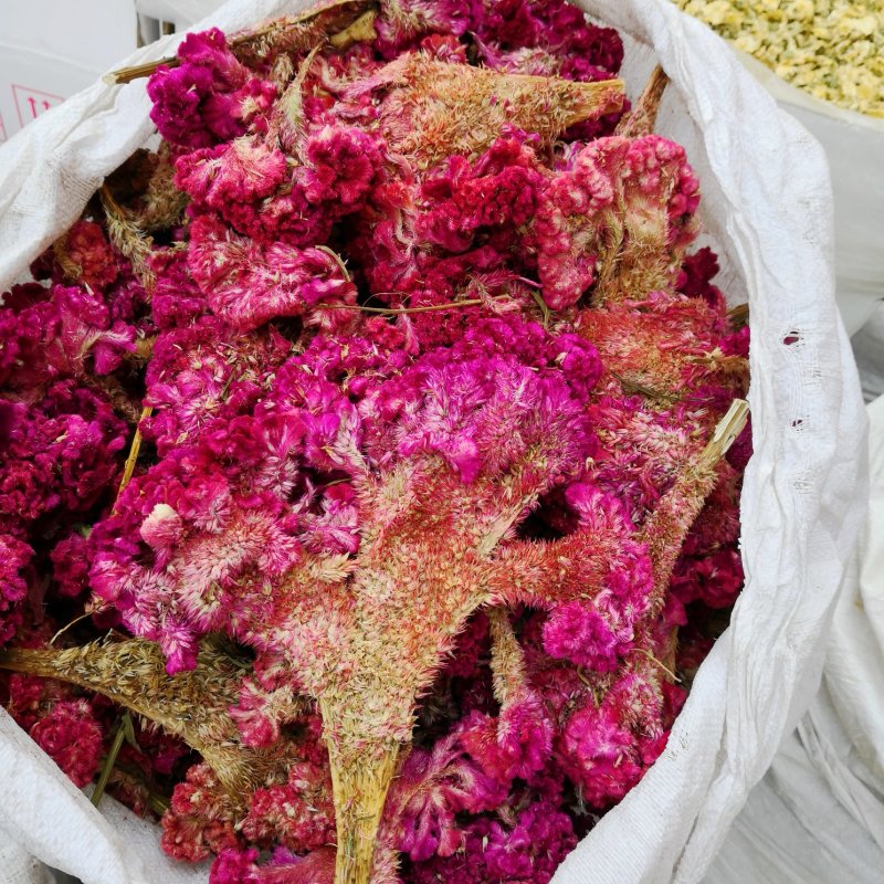 中药材鸡冠花河北干货产地直销散装量大从优