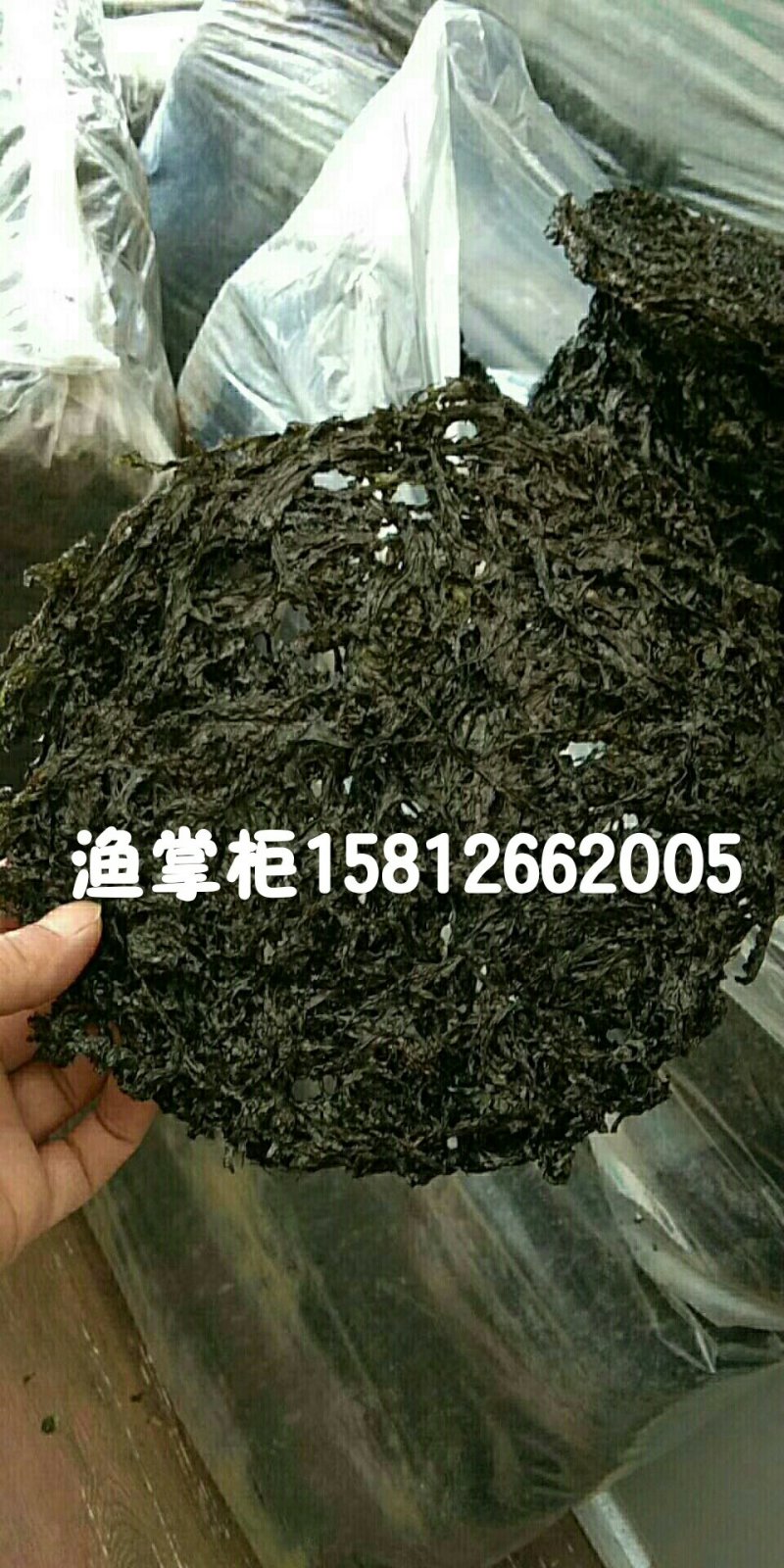 2018新品头水海山紫菜