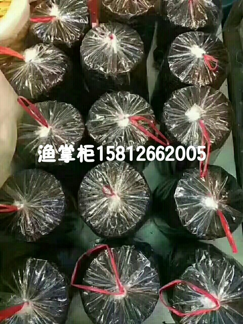 2018新品头水海山紫菜