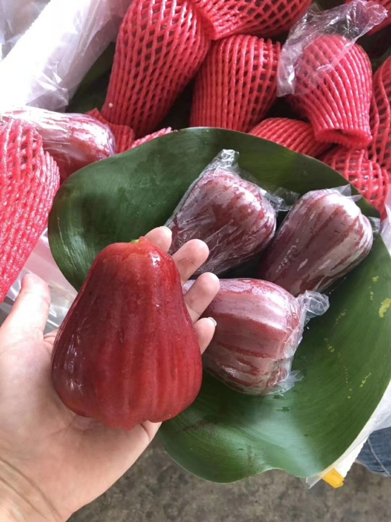 莲雾，十斤包邮，