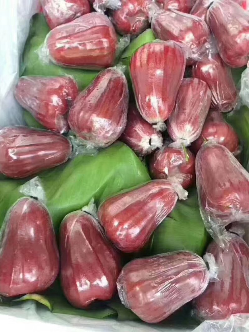 莲雾，十斤包邮，