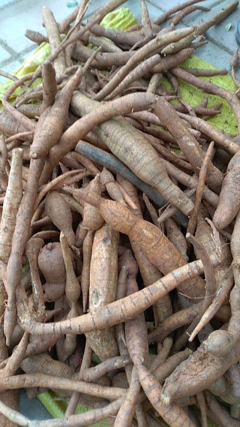 牛大力，小叶牛大，（甘草薯）